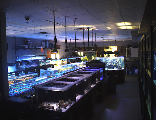 Tropical Fish Store «Manhattan Aquariums», reviews and photos, 522 W 37th St, New York, NY 10018, USA