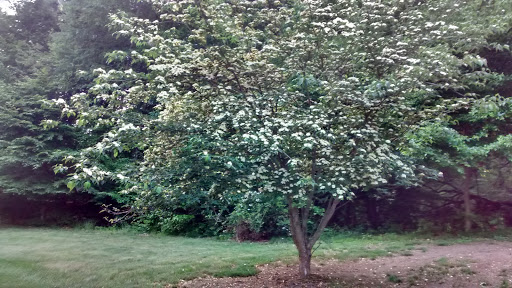 Park «Beech Woods Park», reviews and photos, 137 Beekman Rd, Kendall Park, NJ 08824, USA