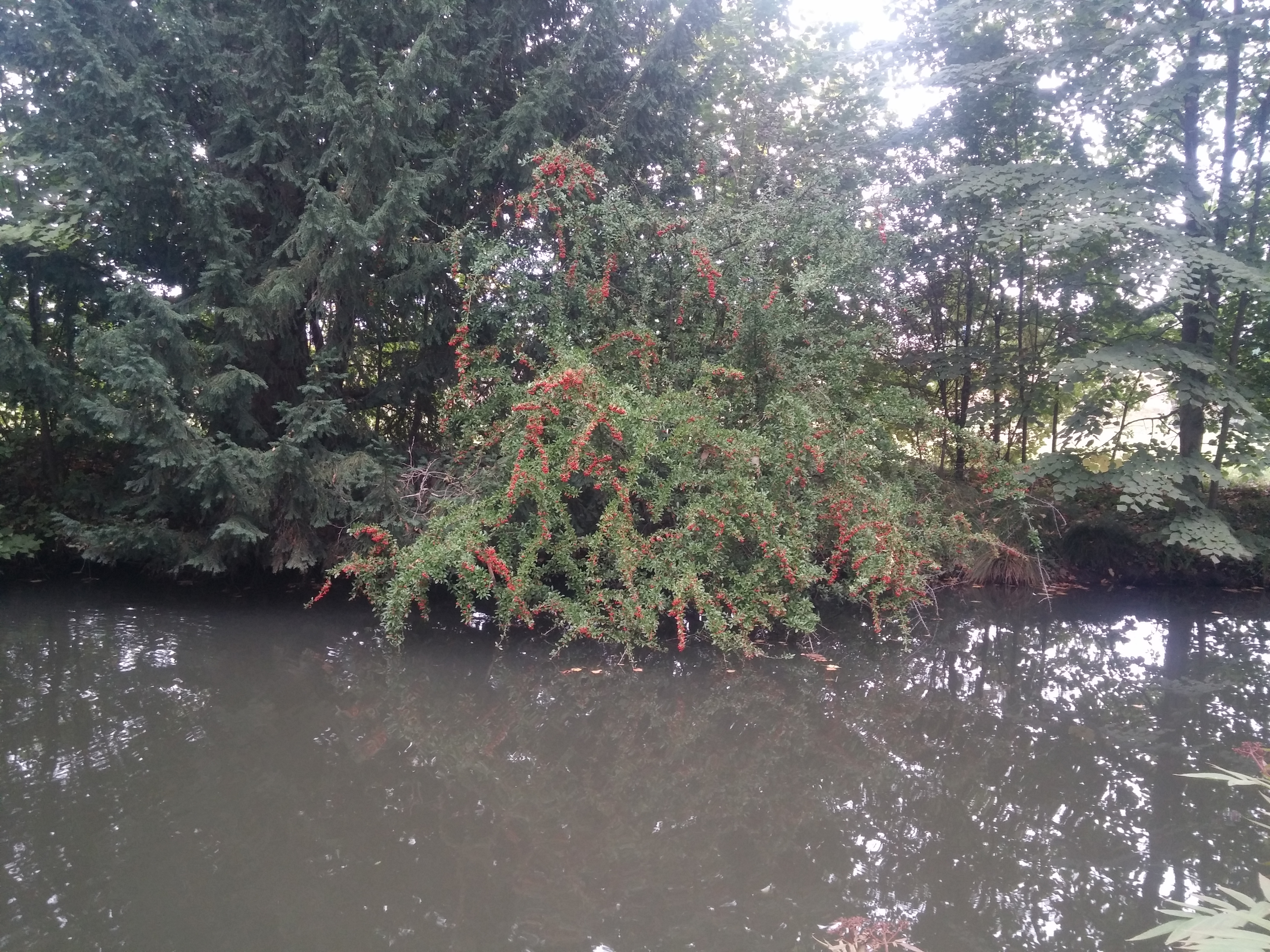 Photo n° 5 de l'avis de Fred.u fait le 19/09/2017 à 08:13