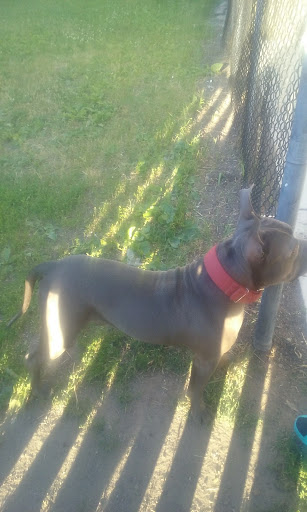 Park «Ceylon Park», reviews and photos, 105 Ceylon St, Boston, MA 02121, USA