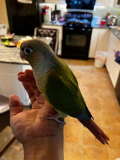 Pet Supply Store «PetSmart», reviews and photos, 1421 Carl D Silver Parkway, Fredericksburg, VA 22401, USA