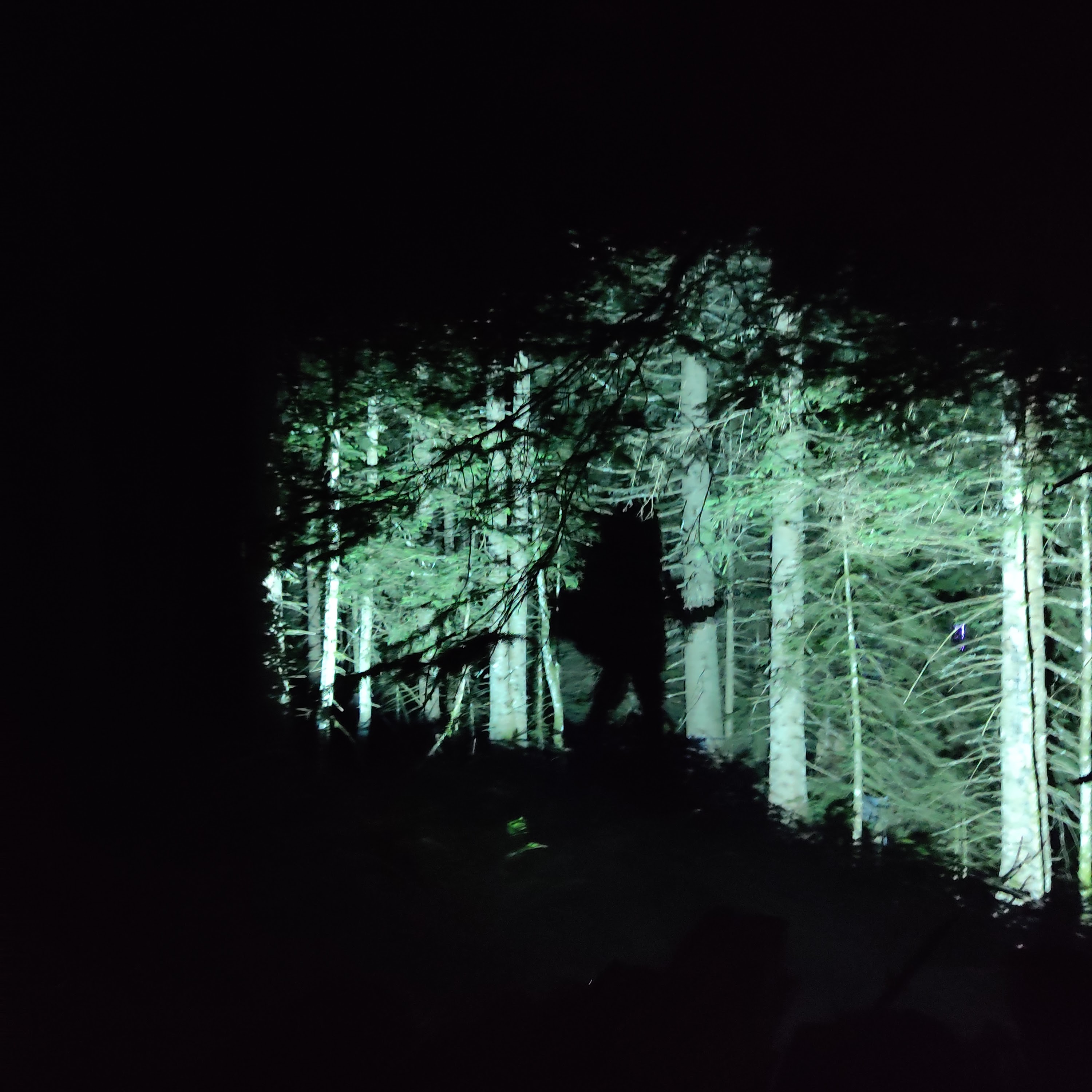 Photo n° 2 de l'avis de christine.A fait le 21/07/2021 à 21:53