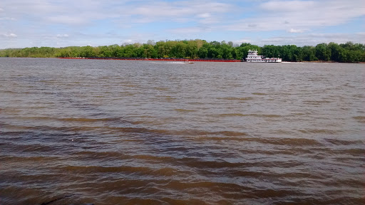 Dollar Store «FAMILY DOLLAR», reviews and photos, 511 Green Blvd, Aurora, IN 47001, USA