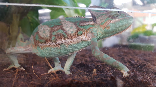 Pet Supply Store «Petco Animal Supplies», reviews and photos, 852 N Western Ave, San Pedro, CA 90732, USA