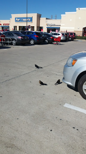 Shopping Mall «Galvez Shopping Center», reviews and photos, 6228 Broadway St, Galveston, TX 77551, USA