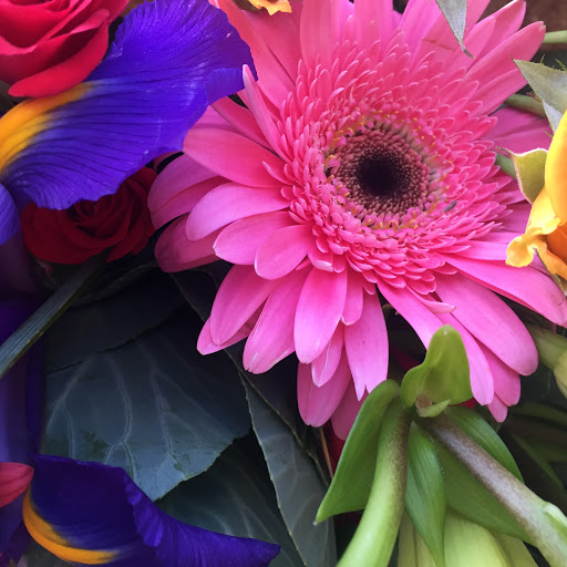 Florist «Dixon Florist & Gift Shop», reviews and photos, 150 E A St, Dixon, CA 95620, USA