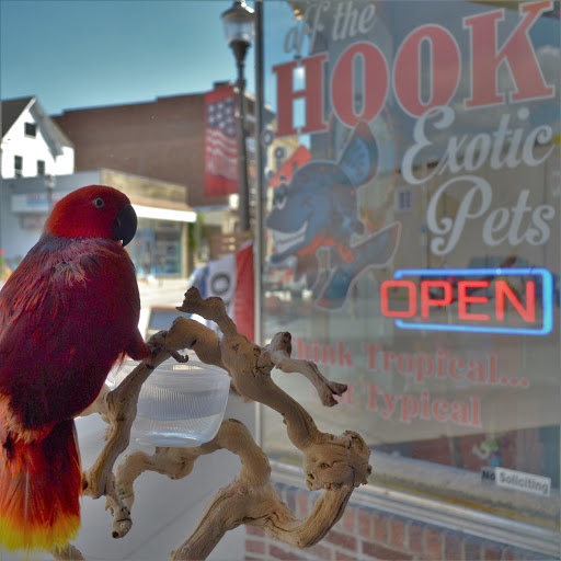 Pet Store «Off The Hook Exotics Pet Shop», reviews and photos, 926 5th Ave, Coraopolis, PA 15108, USA