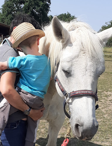 Noé Montessori à Salmiech