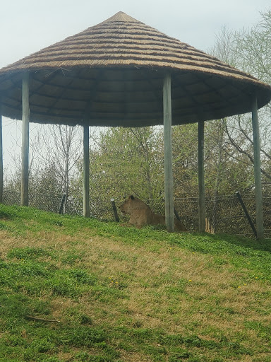 Zoo «Dallas Zoological Society», reviews and photos, 650 S R L Thornton Fwy, Dallas, TX 75203, USA