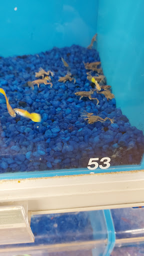 Pet Supply Store «PetSmart», reviews and photos, 162 S Gary Ave, Bloomingdale, IL 60108, USA