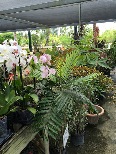 Produce Market «Nelson Family Farms», reviews and photos, 875 W Midway Rd, Fort Pierce, FL 34982, USA