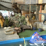 Photo n°8 de l'avis de Peter.A fait le 30/10/2018 à 18:26 sur le  Dino Adventure Park à Weiterstadt