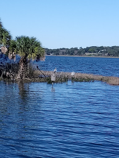 Nature Preserve «Palm Island Park», reviews and photos, 411 S Tremain St, Mt Dora, FL 32757, USA