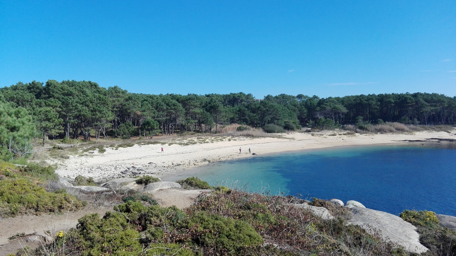Canelas beach的照片 位于自然区域