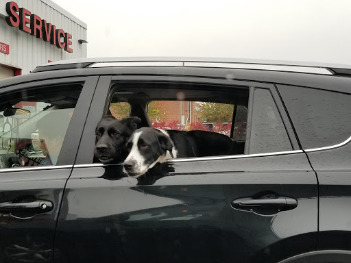 Tire Shop «VIP Tires & Service», reviews and photos, 207 Waterman Dr, South Portland, ME 04106, USA