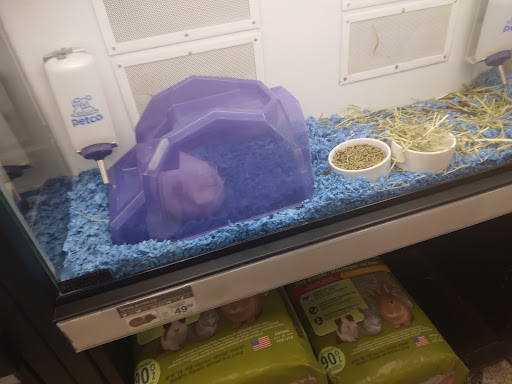 Pet Supply Store «Petco Animal Supplies», reviews and photos, 2000 NE Burnside Rd, Gresham, OR 97030, USA
