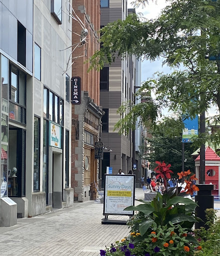 Gift Shop «Sunny Days Of Ithaca», reviews and photos, 123 S Cayuga St, Ithaca, NY 14850, USA