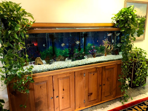 Tropical Fish Store «Hooked On Reefs», reviews and photos, 228 Hibiscus St #1, Jupiter, FL 33458, USA