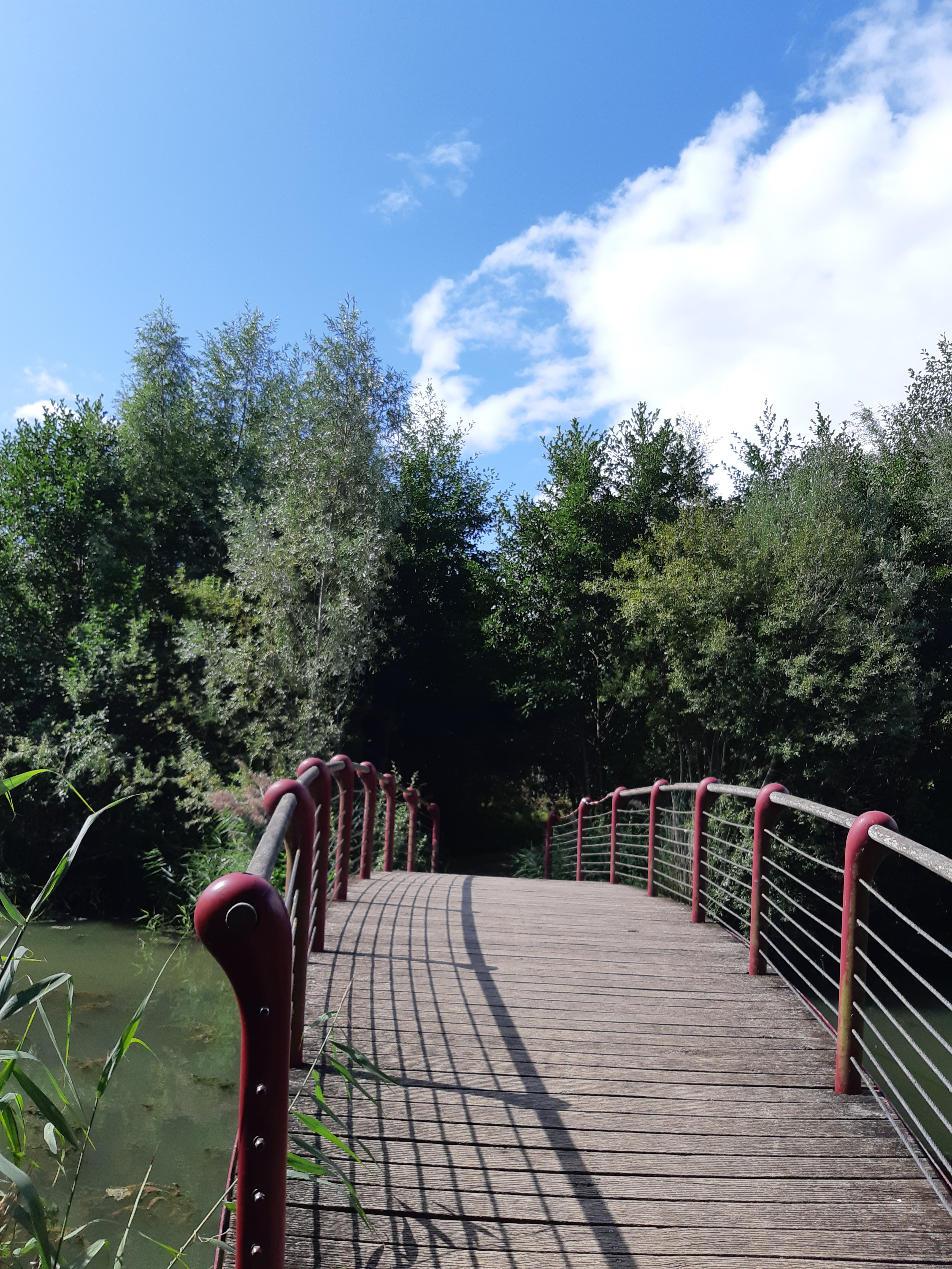 Photo n° 28 de l'avis de Tina.. fait le 08/09/2019 à 11:30
