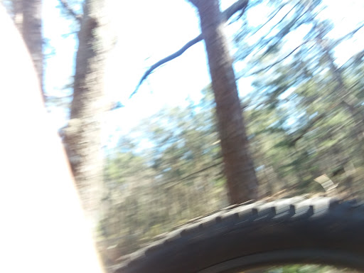 Nature Preserve «Maurice River Bluffs Preserve», reviews and photos, Silver Run Rd, Millville, NJ 08332, USA