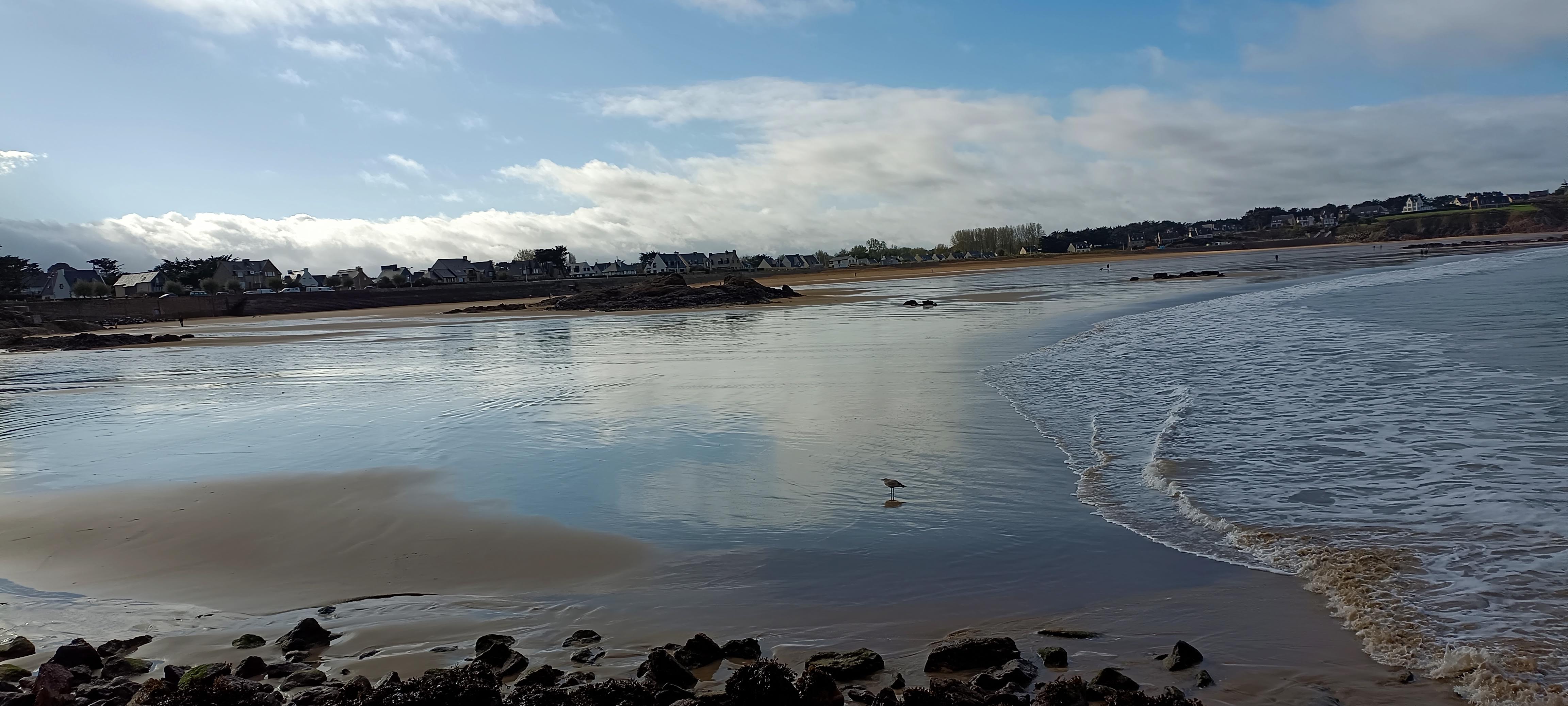 Photo n° 1 de l'avis de pascal.a fait le 19/11/2022 à 16:56