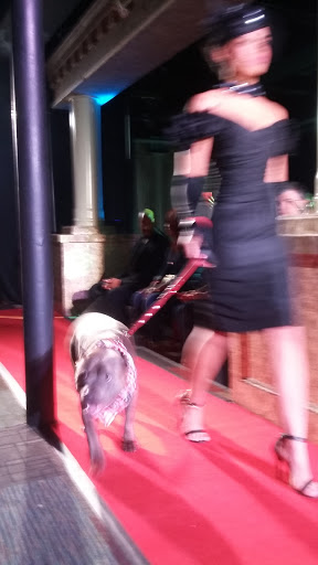 Night Club «Colosseum», reviews and photos, 180 Pine St, Providence, RI 02903, USA