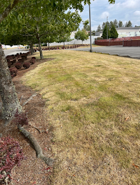 Cooper's Landscape LLC - Photo 8 - Car repair in Lynnwood, WA, Everett