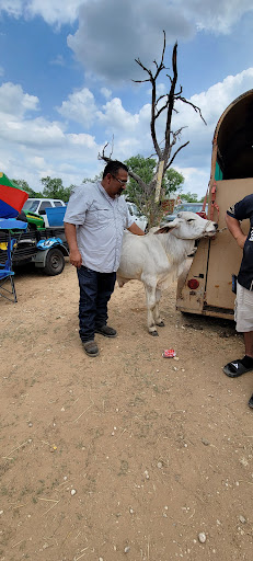 Flea Market «Las Esperanza Flea Market», reviews and photos, 18820 Pleasanton Rd, San Antonio, TX 78221, USA