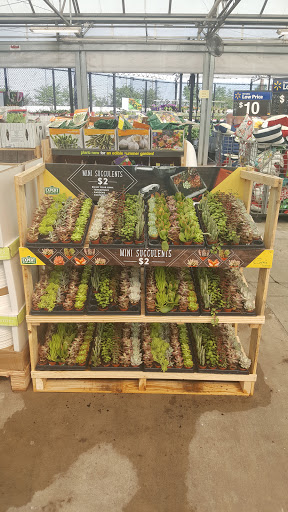 Department Store «Walmart Supercenter», reviews and photos, 23561 US-59, Porter, TX 77365, USA