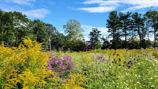 Park «Fisher Hill Reservoir Park», reviews and photos, 78-144 Fisher Ave, Brookline, MA 02445, USA