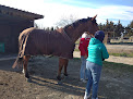 Centre Equestre Cheval Et Provence Courthézon