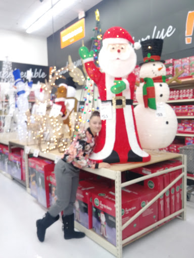 Discount Store «Big Lots», reviews and photos, 20 Court House South Dennis Rd, Cape May Court House, NJ 08210, USA