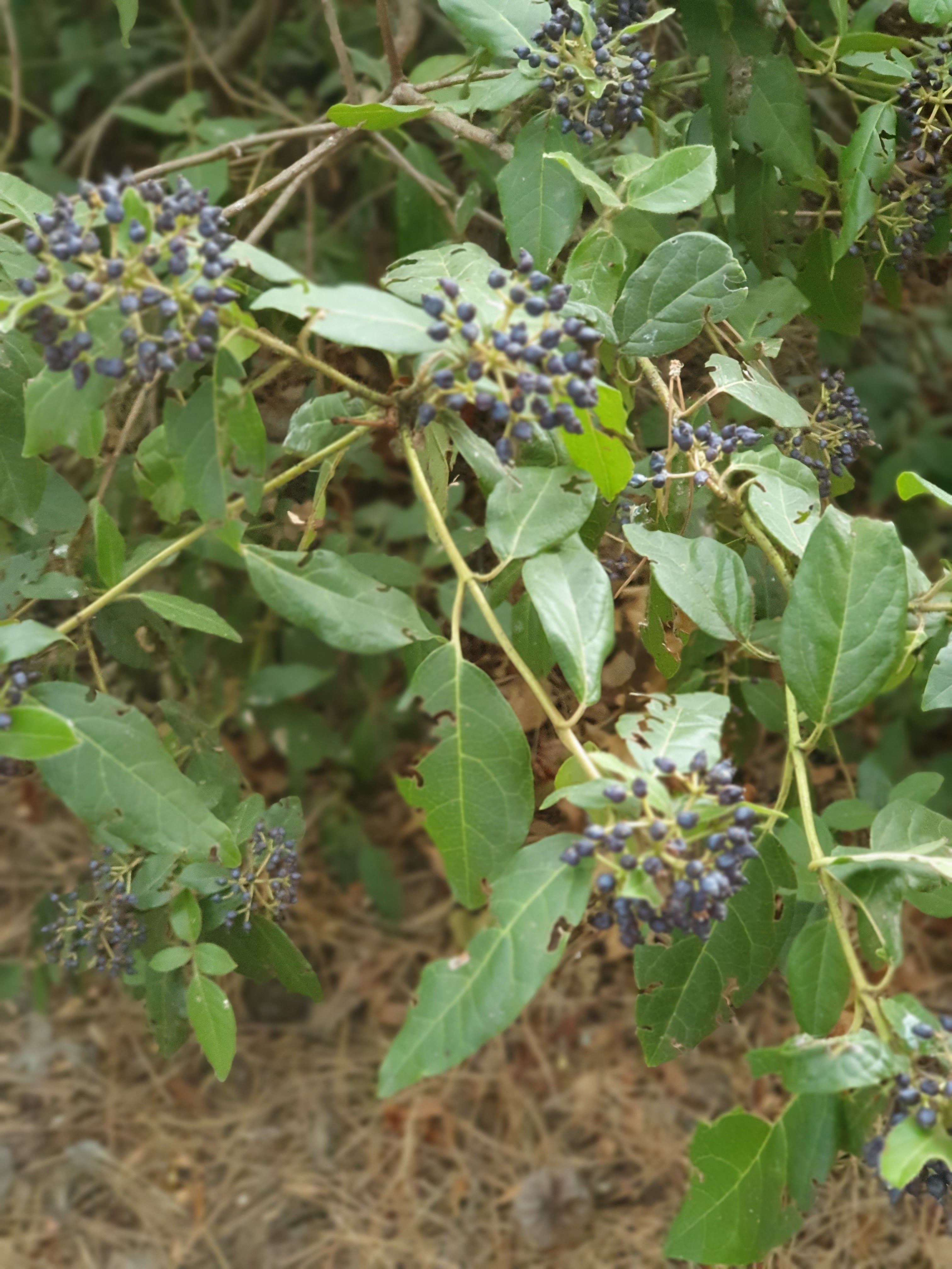 Photo n° 6 de l'avis de Audrey.o fait le 26/09/2020 à 12:46