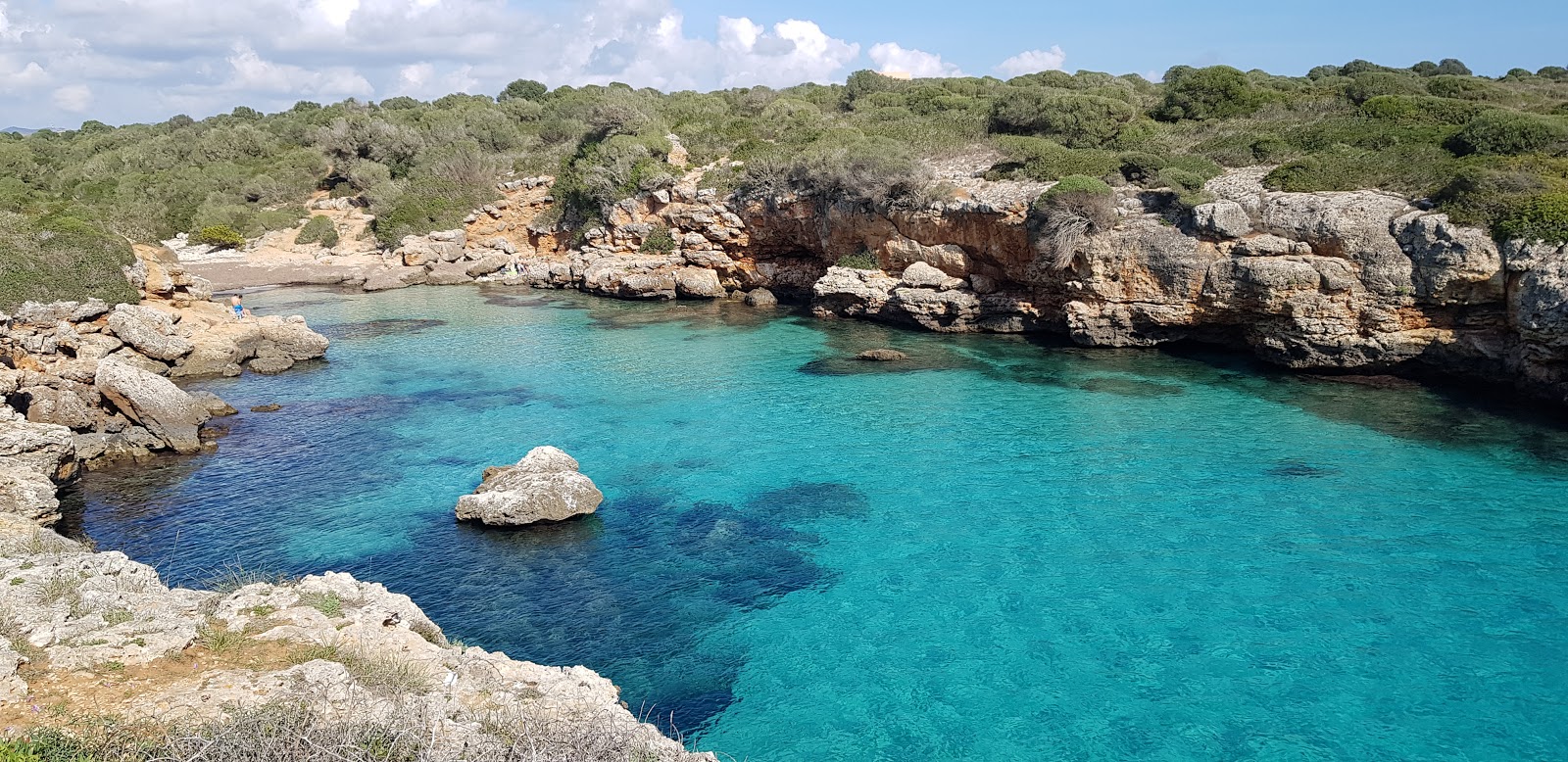 Cala Petita'in fotoğrafı parlak ince kum yüzey ile