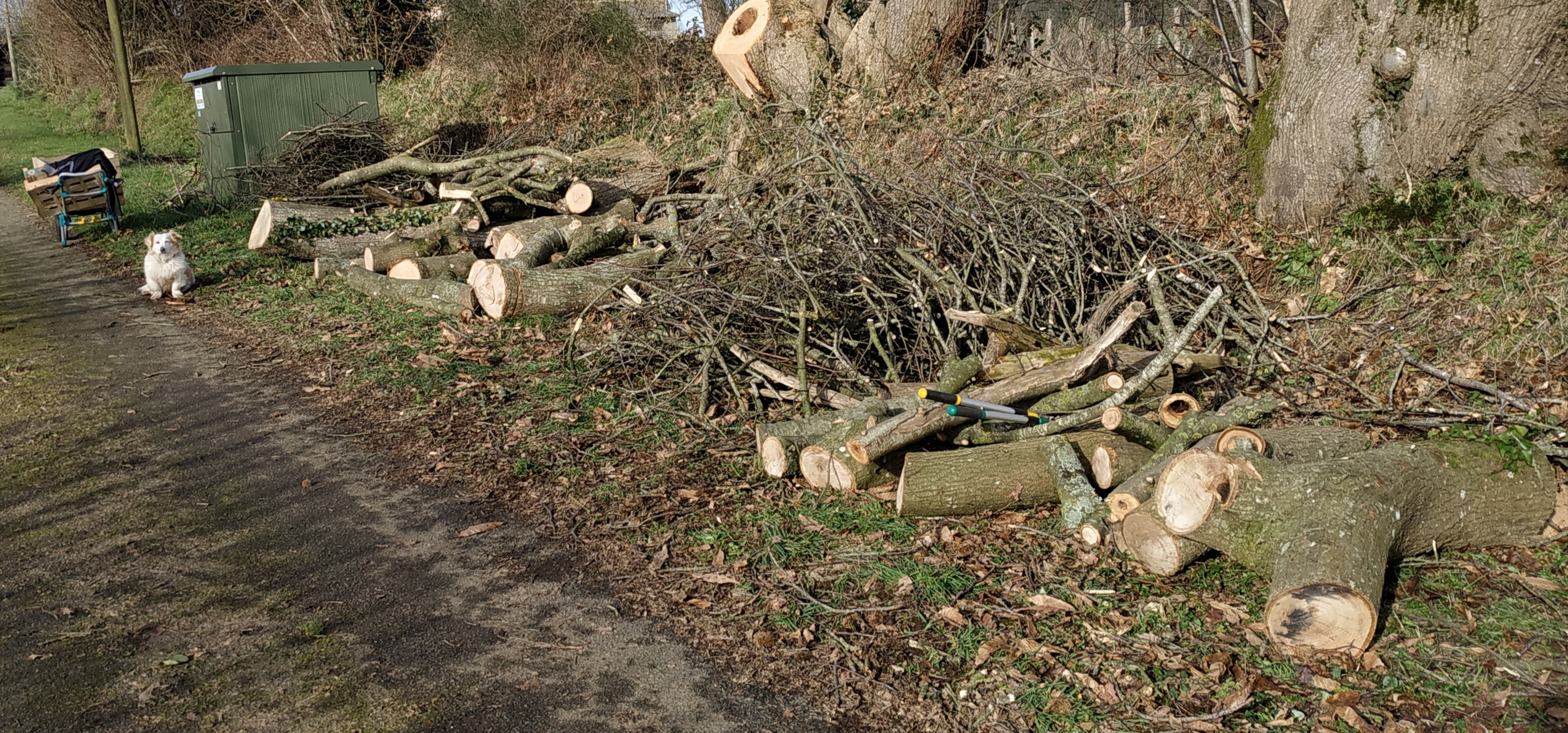 Photo n° 2 de l'avis de MOREL.T fait le 23/02/2024 à 18:53
