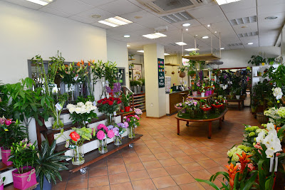 Le Jardin des Fleurs à Brive-la-Gaillarde
