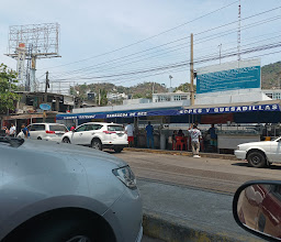 Taqueria Estrada photo