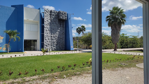 Universidad Tecnologica de Cancún,
