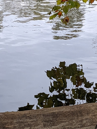 Park «Falls Park», reviews and photos, 460 Falls Park Dr, Pendleton, IN 46064, USA