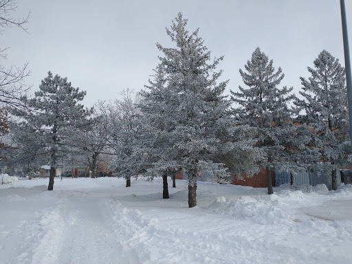 Park «North Commons Park», reviews and photos, 1801 N James Ave, Minneapolis, MN 55411, USA