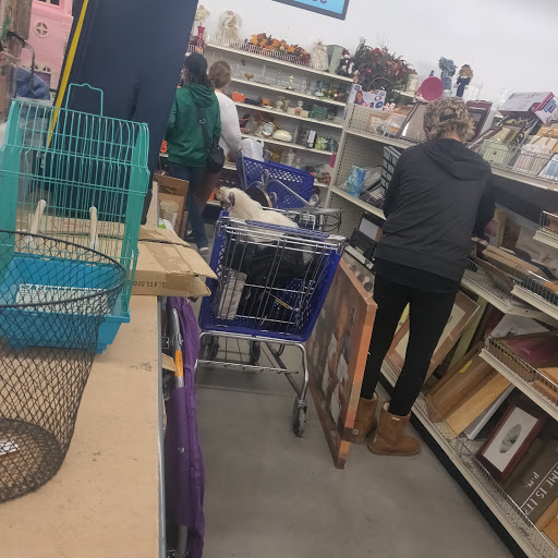 Thrift Store «Goodwill», reviews and photos