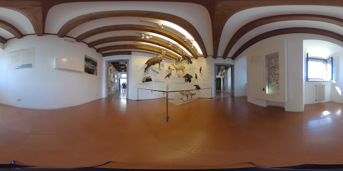  near Hotel Palazzina