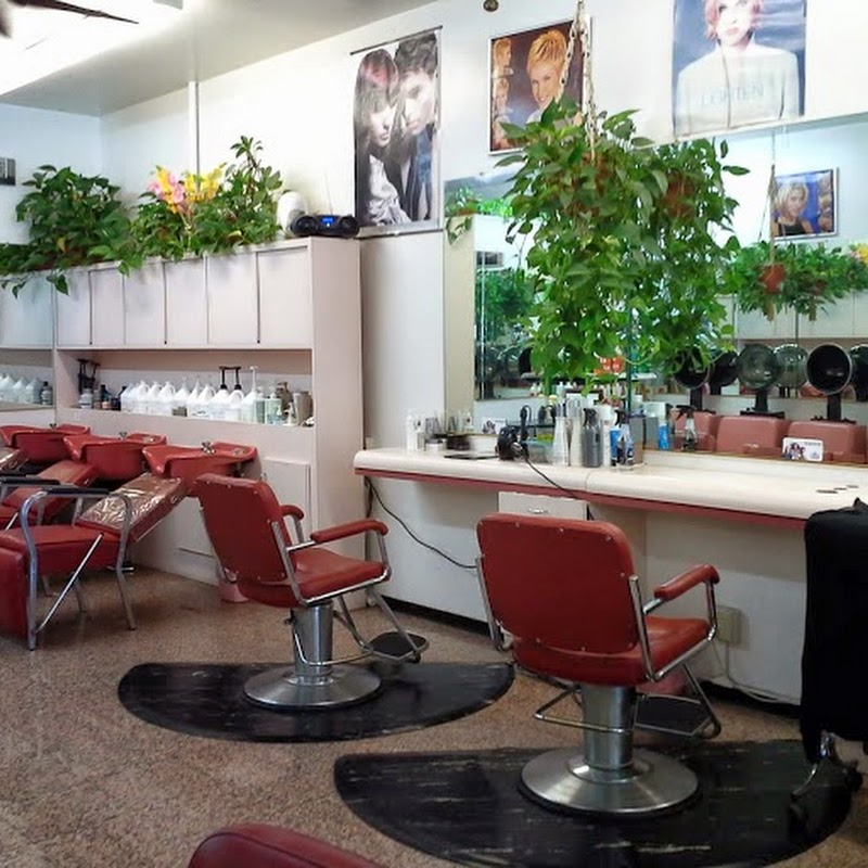 Hair Castle Beauty Salon & Barber Shope