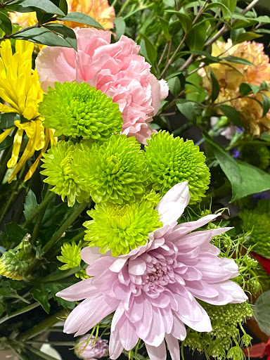 Hair Salon «Aylin Beauty Salon & Spa», reviews and photos, 820 E 41st St, Hialeah, FL 33013, USA