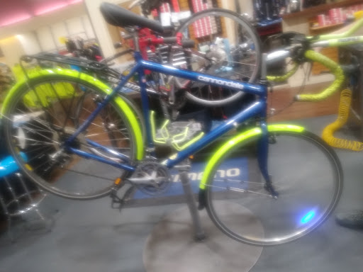 Bicycle Store «Bike Gallery - Westmoreland», reviews and photos, 6717 SE Milwaukie Ave, Portland, OR 97202, USA