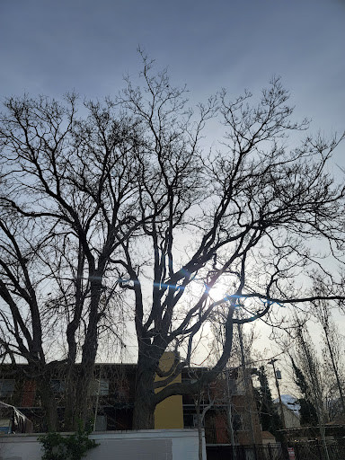 Donut Shop «Banbury Cross Donuts», reviews and photos, 705 S 700 E, Salt Lake City, UT 84102, USA