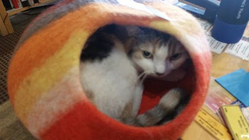 Pet Store «Next to Nature», reviews and photos, 4543 California Ave SW, Seattle, WA 98116, USA