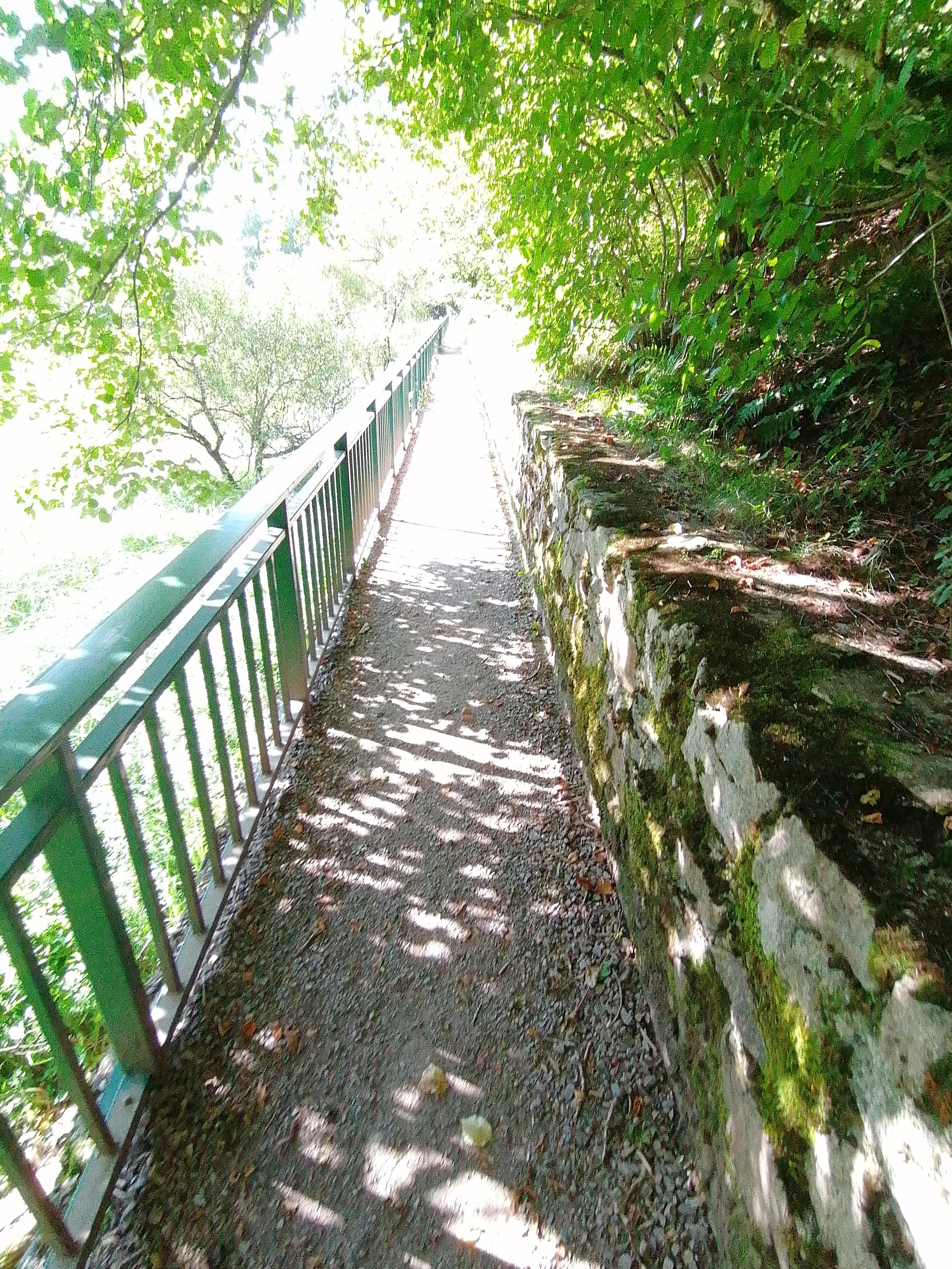 Photo n° 26 de l'avis de Bertrand.e fait le 09/09/2023 à 17:20
