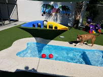 Animal House Jacksonville - Photo 7 - Car repair in Jacksonville, NC, Jacksonville