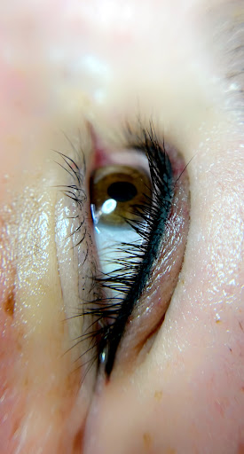 Explore 100 dollar bill tattoo ideas, creative tattoo ideas in Peoria Heights, available at BeautiFULL Brows By Jen Microblading - Permanent Makeup Wild Honey Beauty Studio